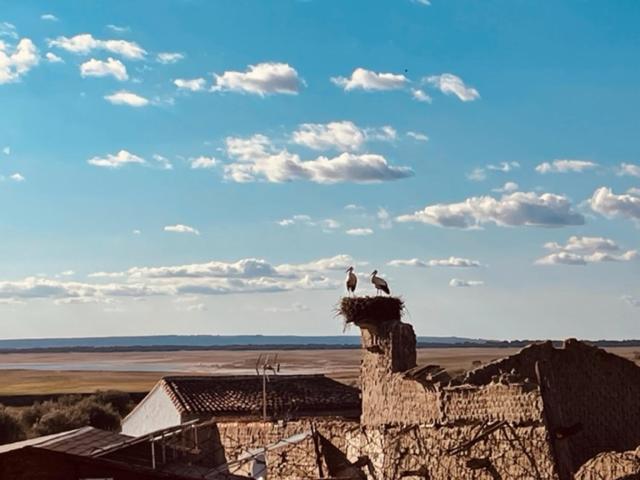 Casa Rural La Cruz 埃尔戈尔多 外观 照片